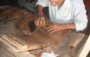 Cigar Rolling Cuba Style